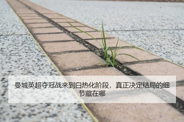 曼城英超夺冠战来到白热化阶段，真正决定结局的细节藏在哪